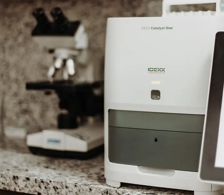 Exames laboratoriais Hospital Veterinário Vettie