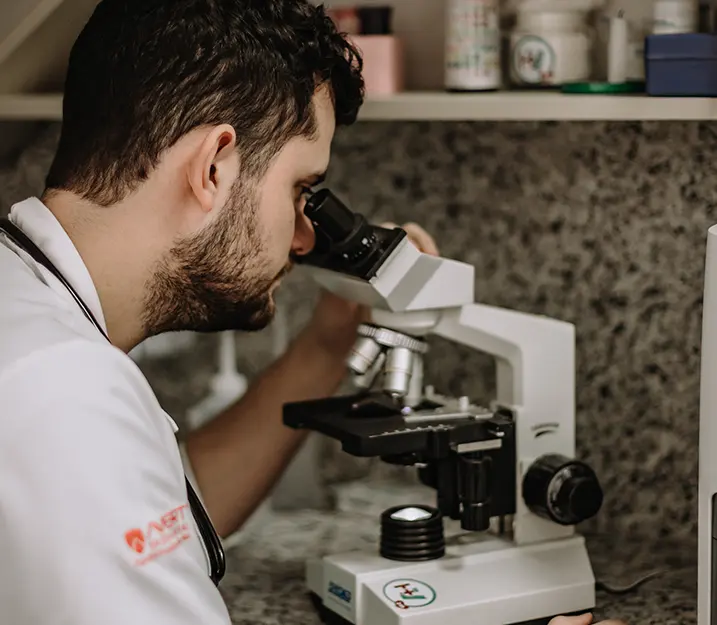 Exames laboratoriais Hospital Veterinário Vettie