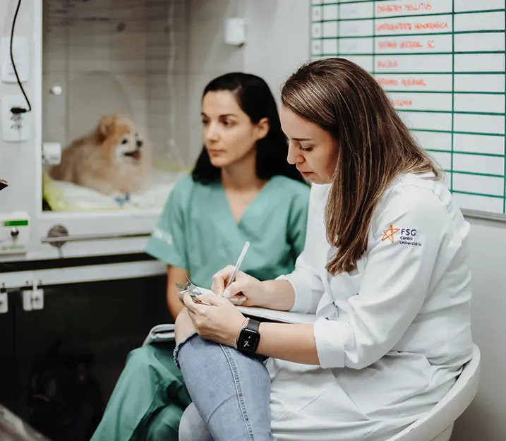 Internação Hospital Veterinário Vettie