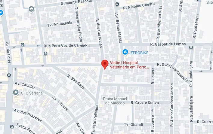 Localização Vettie