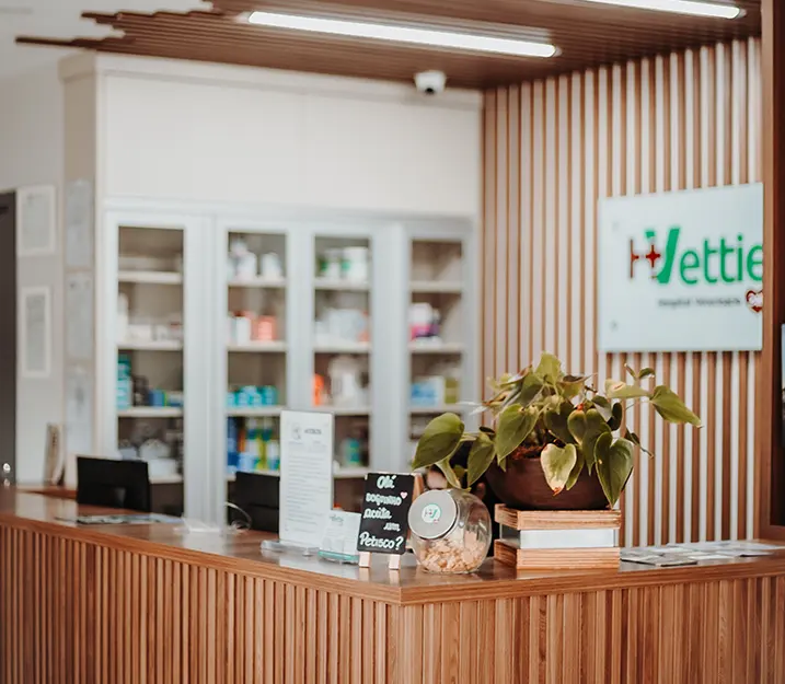 Recepção Hospital Veterinário Vettie