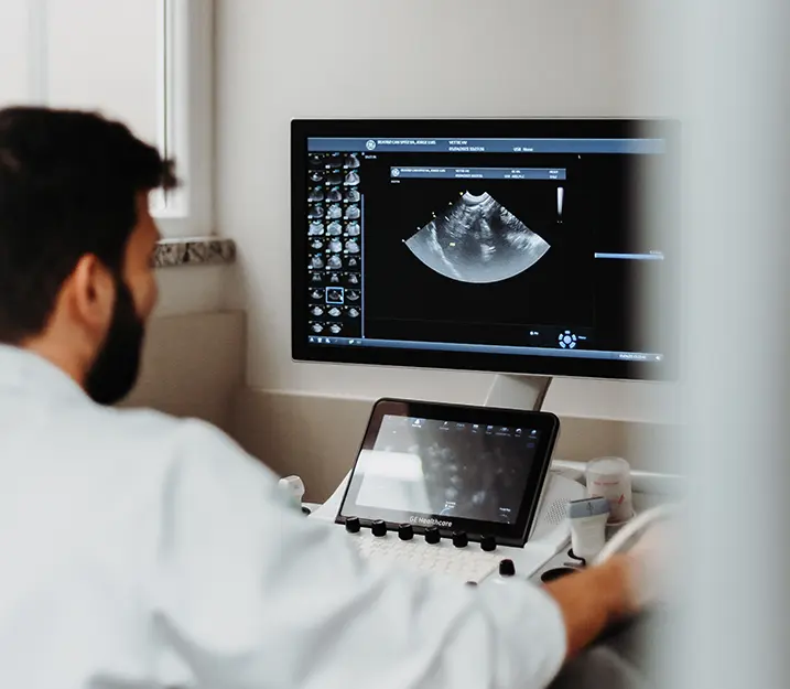 Ultrassom Hospital Veterinário Vettie