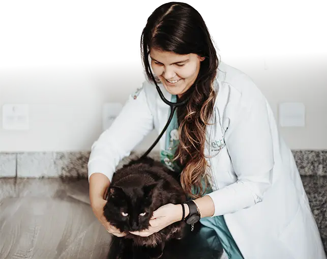 Veterinária Hospital Veterinário Vettie